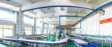 宗庆后畅谈娃哈哈罐头产业 以创新与软件思维引领，精准满足消费者需求